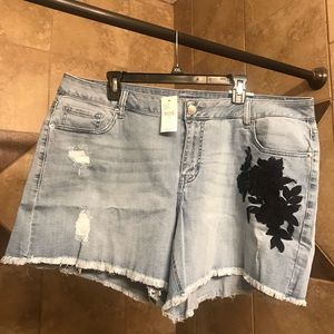 Lane Bryant shorts 20